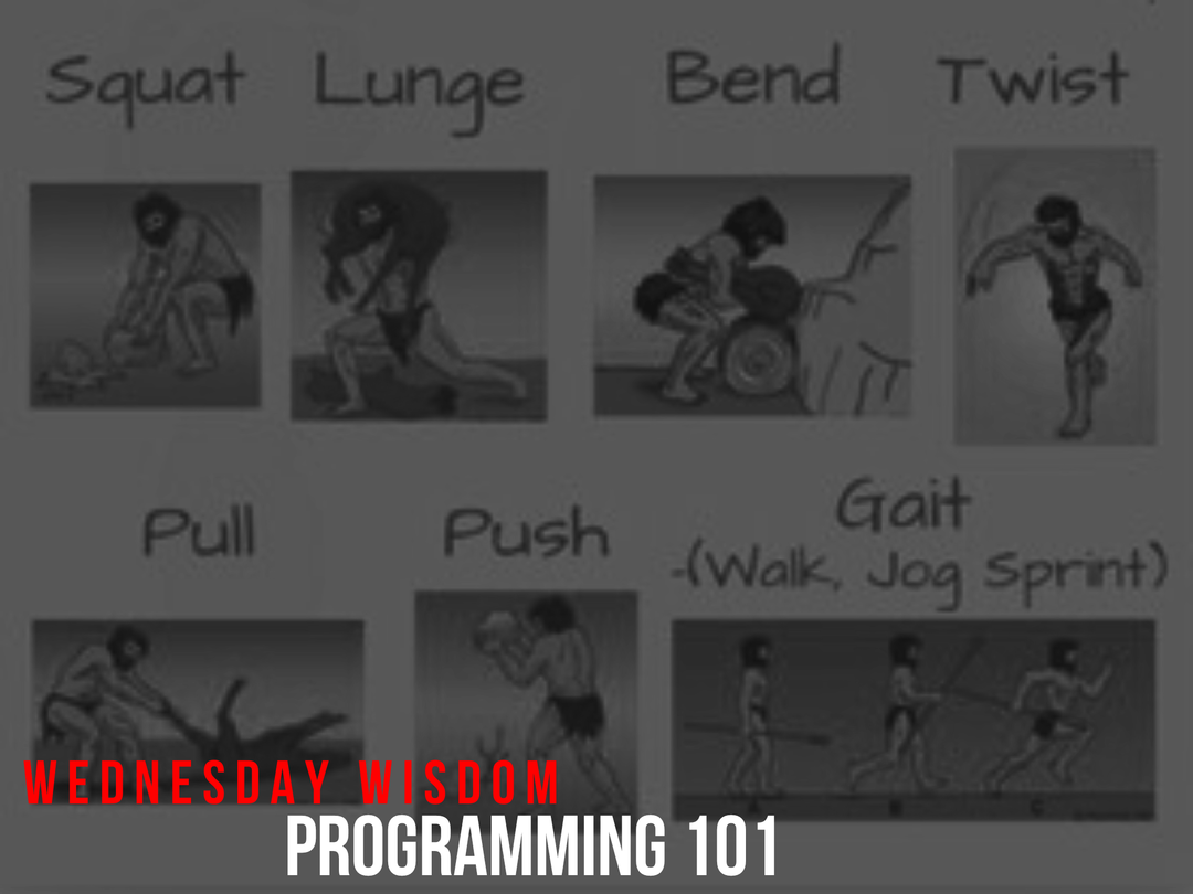 programming 7 primal movement patterns functional training