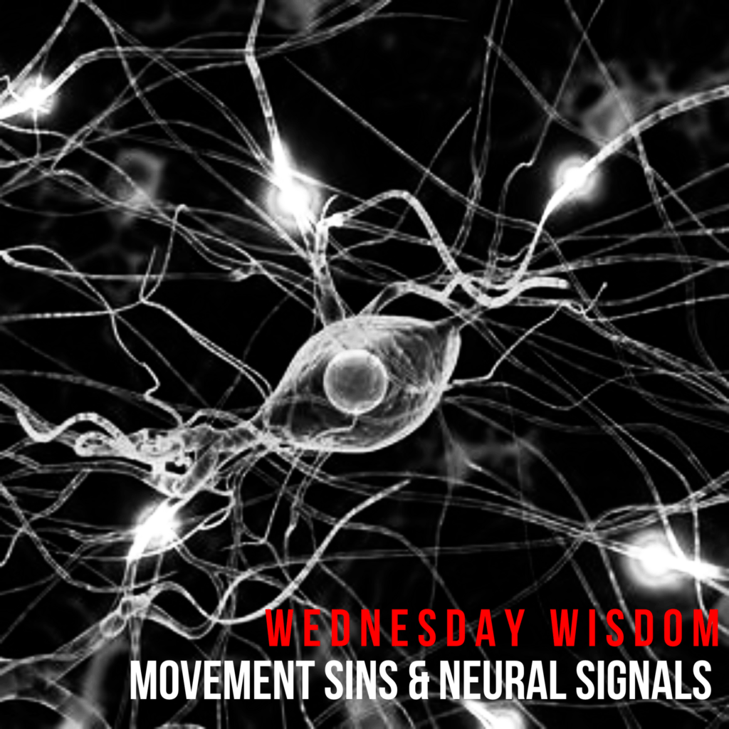 movement habits brain neural